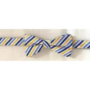 Countess Mara Silk Bow Tie / Blue, Yellow, White Stripe / Beautiful